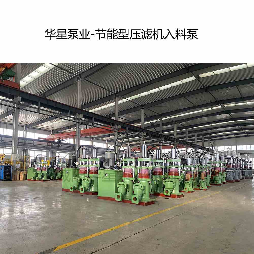 華星泵業(yè)-節(jié)能型壓濾機入料泵